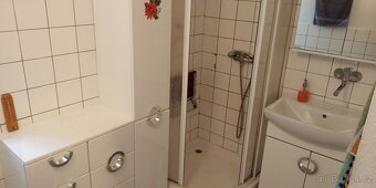 Pronájem bytu 3+1 - 9