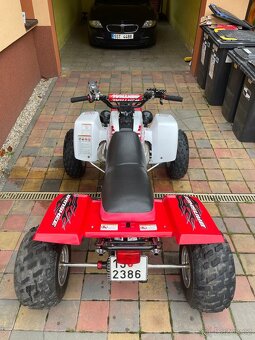 Yamaha yfz 350 BANSHEE - 9