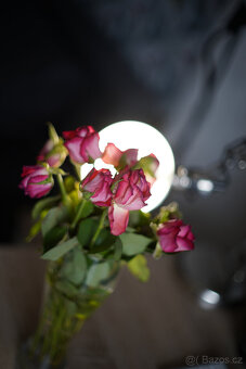 Canon FL 50/1.4 - 9
