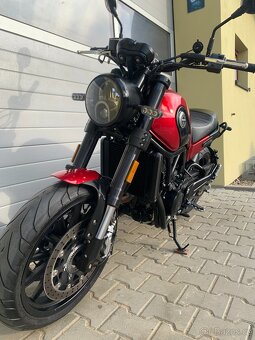 Benelli Leoncino 500 - 9