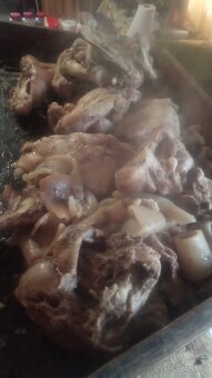 selata a prasata - 9