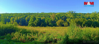 Prodej louky, 1665 m², Nižbor - 9