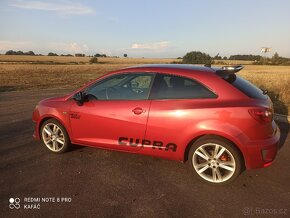 Seat Ibiza bocanegra - 9