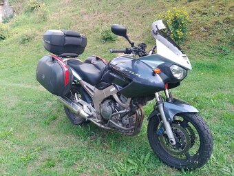 Prodám Yamaha TDM 900 - 9