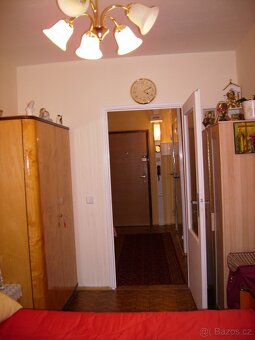 Lakované dřevěné skříně - 9