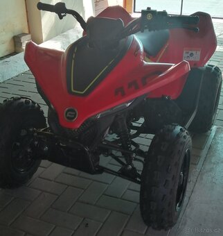 Dětská čtyřkolka CFMOTO Gladiator X110 - 9