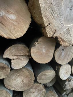 Palivové dřevo přímo pro Vás – od 900 Kč - 9