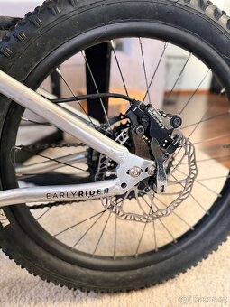 Early Rider Seeker 20” - 9