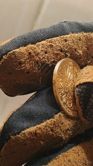 Zlatá mince 20 corone Franc Josef 1894 - 9