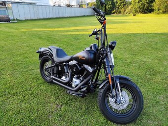 HARLEY DAVIDSON FLSTSB cross bones springer - 9