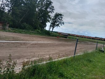 Pastevní ustájení u Pardubic - 9