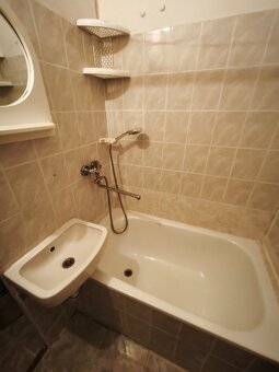 Pronájem bytu 1+kk v Otrokovicích - 9