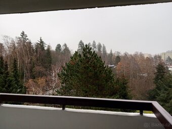 Prodej Byt OV 1+kk, lodžie. Starý Harcov Liberec - 9
