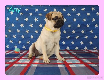 MOPS s PP. - 9