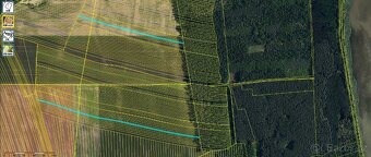 Nabídka pozemku KÚ Dolní Bojanovice - 9,5 ha - 9