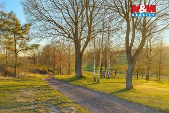 Prodej ideální 1/2 souboru pozemků ve Svijanském Újezdu - 9