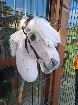 Hobby Horse - 9