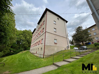 Prodej bytu 1 + 1 35 m2 v obci Libavské Údolí - 9