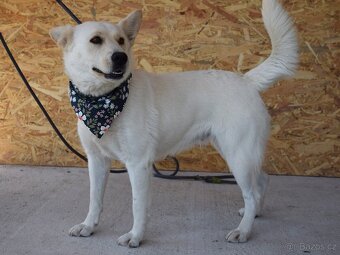 🌸 Zaira – veselá parťačka do života 🌸 - 9