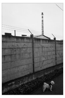 Rollei 35SE - 9