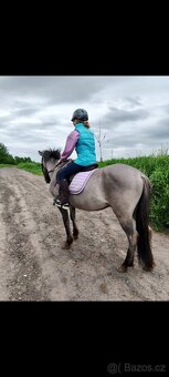 Pony valášek - 9