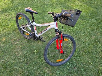 Kolo Author A-Matrix SL 24" - 9