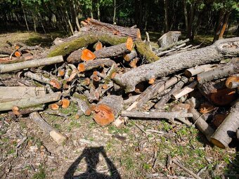 Prodám převážně Tvrdé listnaté dřevo - 9