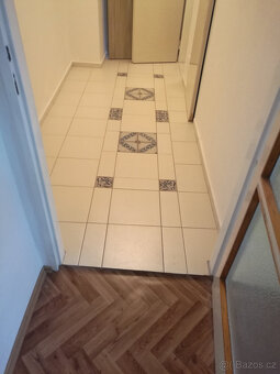 TP u botanické zahrady 2+KK s balkonem - 9