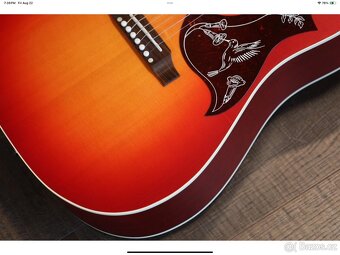 2025 gibson vintage  montana - 9