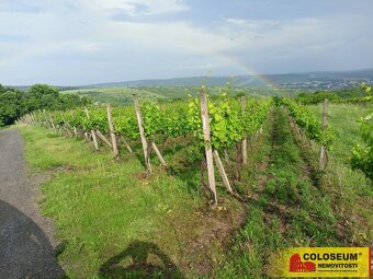 Němčičky - vinice, sady, les, orná půda 34 673 m2 – pozemek - 9