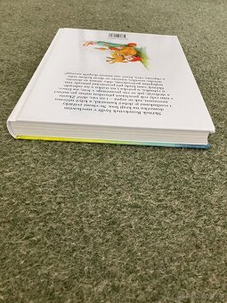 Skřítek rozekvítek - 9