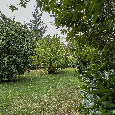 Miřátky,okr. Havlíčkův Brod, dům 5+1 (150m2), krásná zahrada - 9