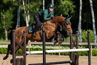 Equestrian Stockholm Sycamore Green DL a VS - 9