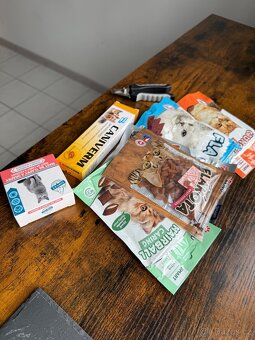 Kočka s výbavou - 9