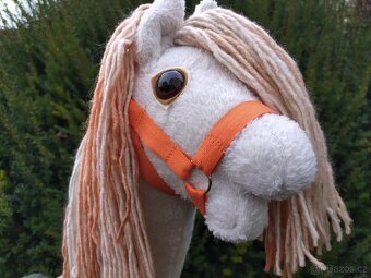 Hobby horse - 9