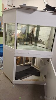 Prodám rohové akvárium - 9